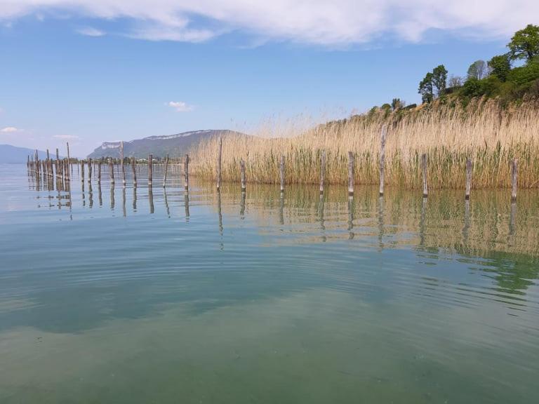 Le Lamartine, Vue Magnifique Face Au Lac Du Bourget Экс-ле-Бен Экстерьер фото