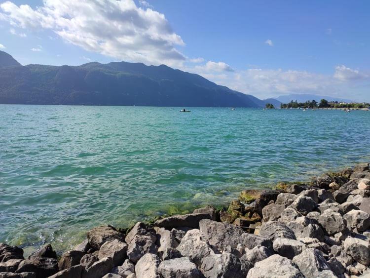 Le Lamartine, Vue Magnifique Face Au Lac Du Bourget Экс-ле-Бен Экстерьер фото